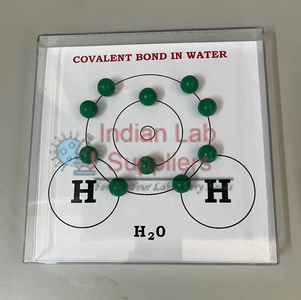 Covalent Bond in Water Model STEM Science Lab Demonstration Model